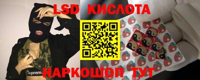 ПСИЛОЦИБИНОВЫЕ ГРИБЫ Кулебаки