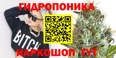 ПСИЛОЦИБИНОВЫЕ ГРИБЫ Кулебаки